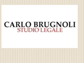 Avvocato Carlo Brugnoli