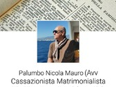 Avvocato Nicola Mauro Palumbo