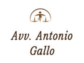 Avv. Antonio Gallo