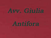 Avv. Antifora Giulia