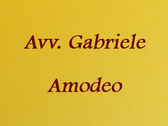 Avv. Gabriele Amodeo