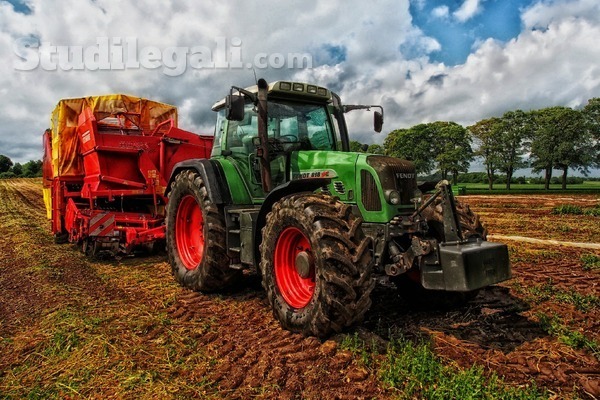 Diritto agrario: i contratti d’affitto