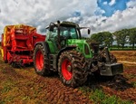 Diritto agrario: i contratti d’affitto