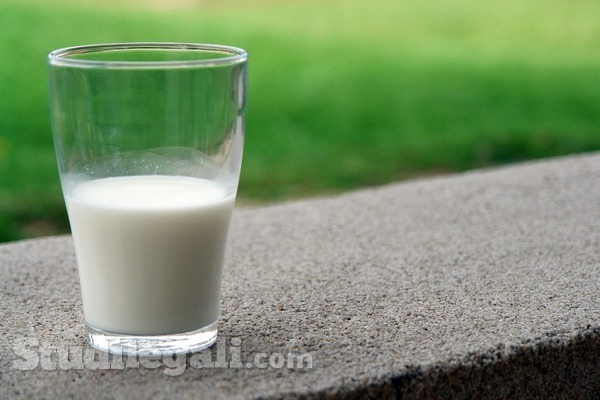 La Corte dell’UE condanna l’Italia per le quote latte