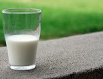 La Corte dell’UE condanna l’Italia per le quote latte