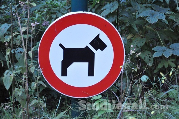 No al divieto d’accesso per i cani nei parchi pubblici