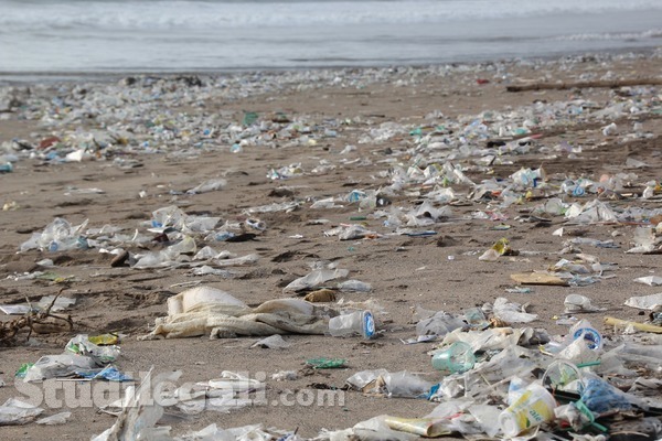 Stop a piatti e posate di plastica nell’Unione Europea