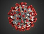 Coronavirus News Covid-19: Cosa Fare & Sanzioni. La Guida Definitiva