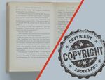 Che cos’è il copyright e quali sono i rischi se viene violato?