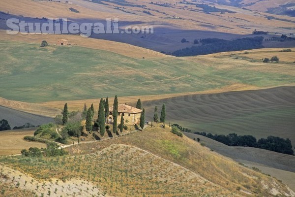 La prelazione agraria: casistica e orientamenti della Cassazione