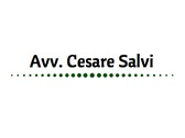 Avv. Cesare Salvi