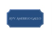 Avv. Amerigo Gallo