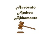Avvocato Andrea Abbamonte