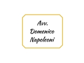 Avv. Domenico Napoleoni