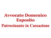 Avvocato Domenico Esposito